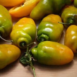 Rocoto Le Diable