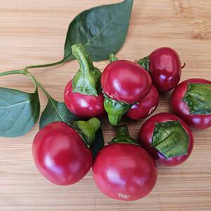 Cherry Bomb – Zaden
